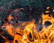 Flame Spread and Smoke Density