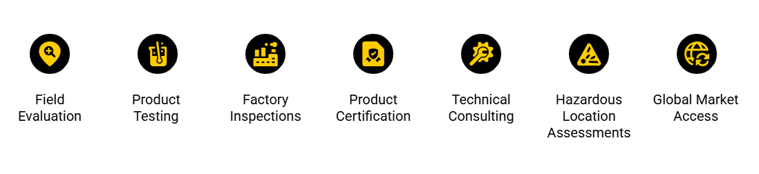 LabTest Services Infographic